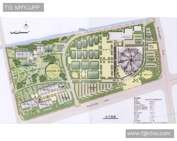 武汉网球队的节奏革新探索与实践：重塑竞技风格与团队协作新模式